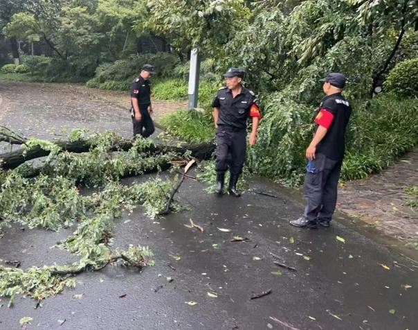 C:/Users/BA/Desktop/風雨過后南京保安迅速行動，恢復安“寧”面貌/7.jpg7